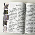 Biblia PERSONALIZADA León Deluxe Reina Valera 1960 Letra GRANDE con Liga